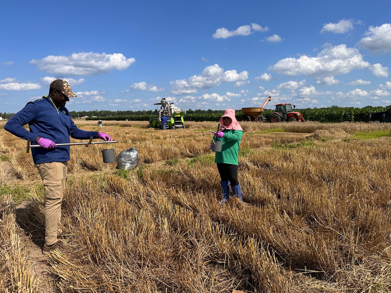 Soil sampling after wheat harvest biostimulant_2025.jpg thumbnail